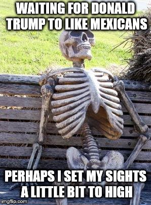 Waiting Skeleton | WAITING FOR DONALD TRUMP TO LIKE MEXICANS; PERHAPS I SET MY SIGHTS A LITTLE BIT TO HIGH | image tagged in memes,waiting skeleton | made w/ Imgflip meme maker
