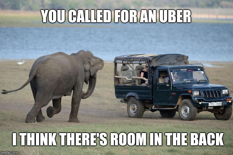 Uber doesn't work everywhere | YOU CALLED FOR AN UBER; I THINK THERE'S ROOM IN THE BACK | image tagged in car meme,elephant in the room,ghost rider,lift | made w/ Imgflip meme maker