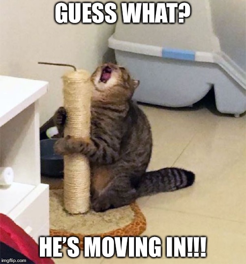 Over Dramatic Cat | GUESS WHAT? HE’S MOVING IN!!! | image tagged in over dramatic cat | made w/ Imgflip meme maker