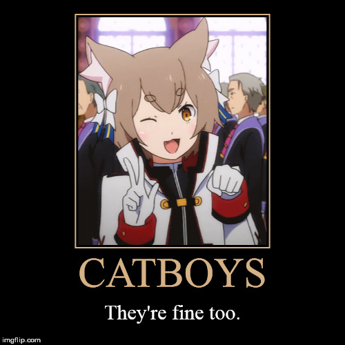 image tagged in funny,demotivationals,felix argyle,rezero,catboy,a cat is fine too | made w/ Imgflip demotivational maker