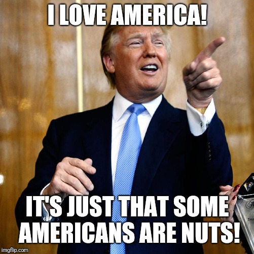 Donal Trump Birthday | I LOVE AMERICA! IT'S JUST THAT SOME AMERICANS ARE NUTS! | image tagged in donal trump birthday | made w/ Imgflip meme maker