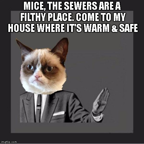 Grumpy cat kill yourself | MICE, THE SEWERS ARE A FILTHY PLACE. COME TO MY HOUSE WHERE IT'S WARM & SAFE | image tagged in grumpy cat kill yourself | made w/ Imgflip meme maker