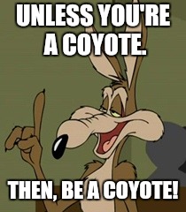 UNLESS YOU'RE A COYOTE. THEN, BE A COYOTE! | made w/ Imgflip meme maker
