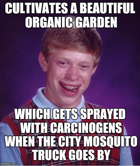 Sometimes you just can't win | CULTIVATES A BEAUTIFUL ORGANIC GARDEN; WHICH GETS SPRAYED WITH CARCINOGENS WHEN THE CITY MOSQUITO TRUCK GOES BY | image tagged in memes,bad luck brian | made w/ Imgflip meme maker