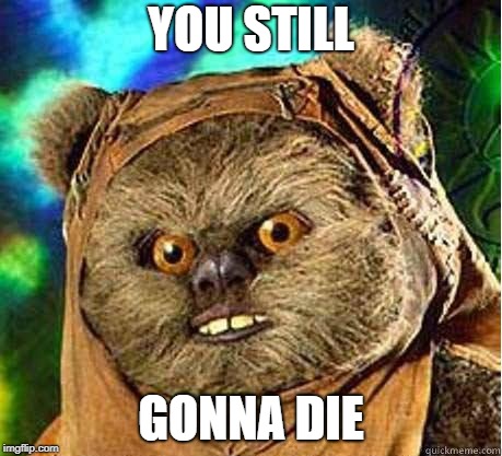 Ewok | YOU STILL; GONNA DIE | image tagged in ewok | made w/ Imgflip meme maker