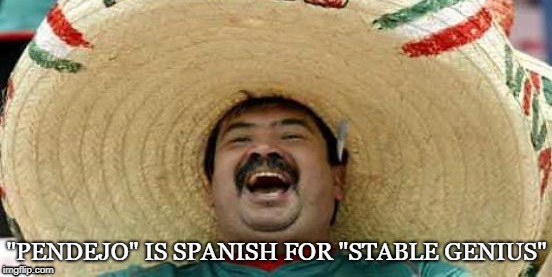"PENDEJO" IS SPANISH FOR "STABLE GENIUS" | image tagged in trump pendejo | made w/ Imgflip meme maker