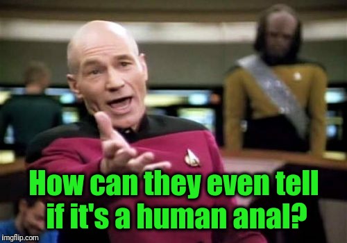 Picard Wtf Meme | How can they even tell if it's a human anal? | image tagged in memes,picard wtf | made w/ Imgflip meme maker