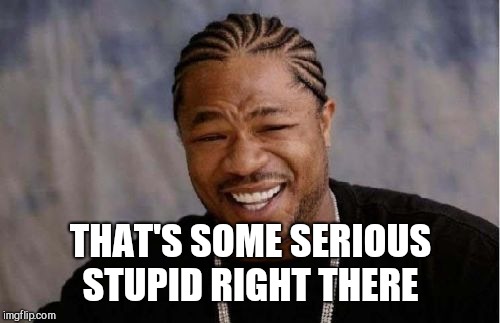 Yo Dawg Heard You Meme | THAT'S SOME SERIOUS STUPID RIGHT THERE | image tagged in memes,yo dawg heard you | made w/ Imgflip meme maker