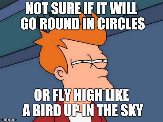 A song with no melody | NOT SURE IF IT WILL GO ROUND IN CIRCLES; OR FLY HIGH LIKE A BIRD UP IN THE SKY | image tagged in memes,futurama fry,soul,1970s | made w/ Imgflip meme maker