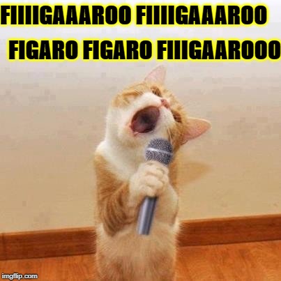 FIIIIGAAAROO FIIIIGAAAROO; FIGARO FIGARO FIIIGAAROOO | image tagged in figaro | made w/ Imgflip meme maker