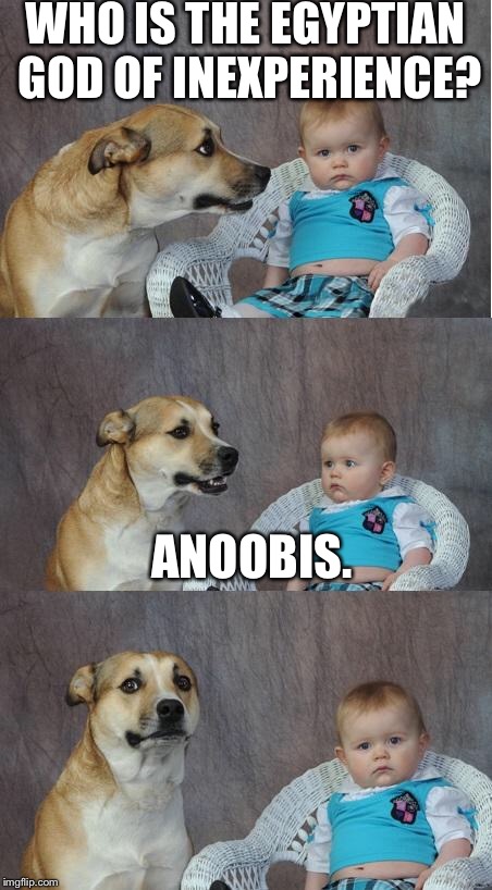 Bad joke dog | WHO IS THE EGYPTIAN GOD OF INEXPERIENCE? ANOOBIS. | image tagged in bad joke dog | made w/ Imgflip meme maker