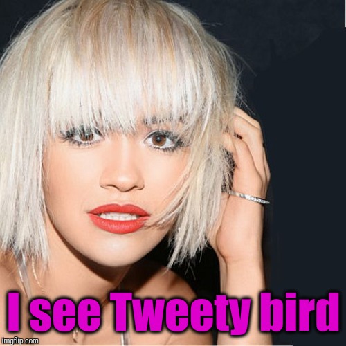 ditz | I see Tweety bird | image tagged in ditz | made w/ Imgflip meme maker