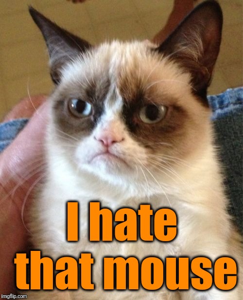 Grumpy Cat Meme | I hate that mouse | image tagged in memes,grumpy cat | made w/ Imgflip meme maker
