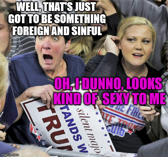 Trump supporters | WELL, THAT'S JUST GOT TO BE SOMETHING FOREIGN AND SINFUL OH, I DUNNO, LOOKS KIND OF  SEXY TO ME | image tagged in trump supporters | made w/ Imgflip meme maker