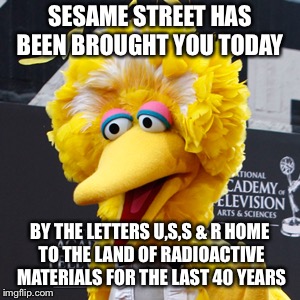 Big Bird |  SESAME STREET HAS BEEN BROUGHT YOU TODAY; BY THE LETTERS U,S,S & R HOME TO THE LAND OF RADIOACTIVE MATERIALS FOR THE LAST 40 YEARS | image tagged in memes,big bird | made w/ Imgflip meme maker