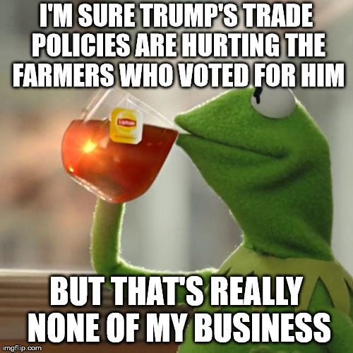 But That's None Of My Business Meme | I'M SURE TRUMP'S TRADE POLICIES ARE HURTING THE FARMERS WHO VOTED FOR HIM BUT THAT'S REALLY NONE OF MY BUSINESS | image tagged in memes,but thats none of my business,kermit the frog | made w/ Imgflip meme maker