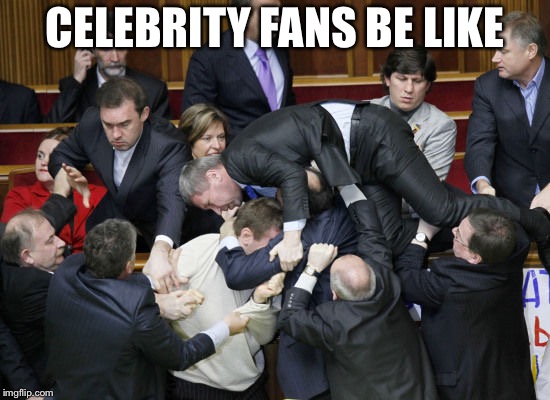 ukraine parliament | CELEBRITY FANS BE LIKE | image tagged in ukraine parliament | made w/ Imgflip meme maker