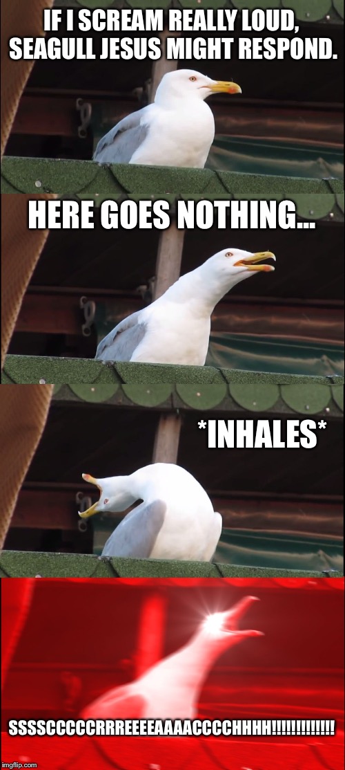 Inhaling Seagull Meme | IF I SCREAM REALLY LOUD, SEAGULL JESUS MIGHT RESPOND. HERE GOES NOTHING... *INHALES*; SSSSCCCCCRRREEEEAAAACCCCHHHH!!!!!!!!!!!!! | image tagged in memes,inhaling seagull | made w/ Imgflip meme maker