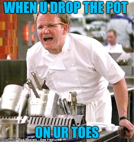 Life as a beginner cook | WHEN U DROP THE POT; ON UR TOES | image tagged in memes,chef gordon ramsay,life sucks | made w/ Imgflip meme maker