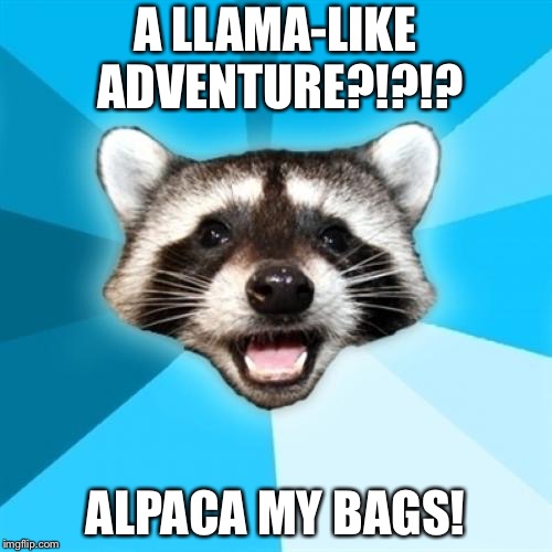 Lame Pun Coon | A LLAMA-LIKE ADVENTURE?!?!? ALPACA MY BAGS! | image tagged in memes,lame pun coon | made w/ Imgflip meme maker