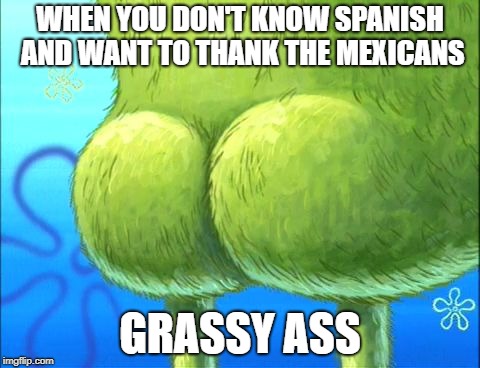 spongebob bottom | WHEN YOU DON'T KNOW SPANISH AND WANT TO THANK THE MEXICANS; GRASSY ASS | image tagged in spongebob bottom | made w/ Imgflip meme maker