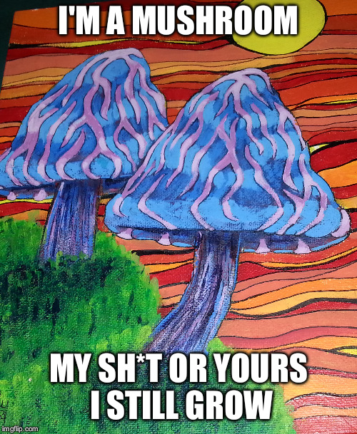 I'M A MUSHROOM; MY SH*T OR YOURS I STILL GROW | image tagged in mushroom,mushrooms,magic mushrooms,painting,psychedelic | made w/ Imgflip meme maker