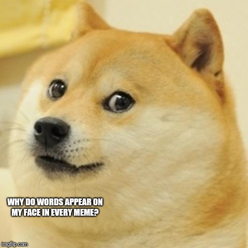 Doge Meme | WHY DO WORDS APPEAR ON MY FACE IN EVERY MEME? | image tagged in memes,doge | made w/ Imgflip meme maker