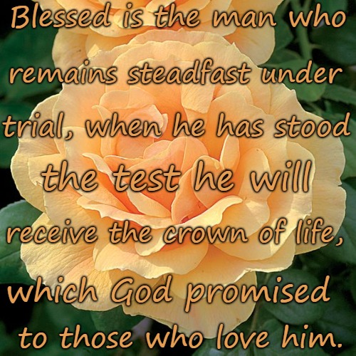 James 1:12 Blessed is the Man Who Remains Steadfast, He Will Receive the Crown of Life | Blessed is the man who; remains steadfast under; trial, when he has stood; the test he will; receive the crown of life, which God promised; to those who love him. | image tagged in bible,holy bible,holy spirit,bible verse,verse,god | made w/ Imgflip meme maker