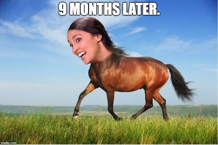Horsecasio-Horsetez | 9 MONTHS LATER. | image tagged in horsecasio-horsetez | made w/ Imgflip meme maker
