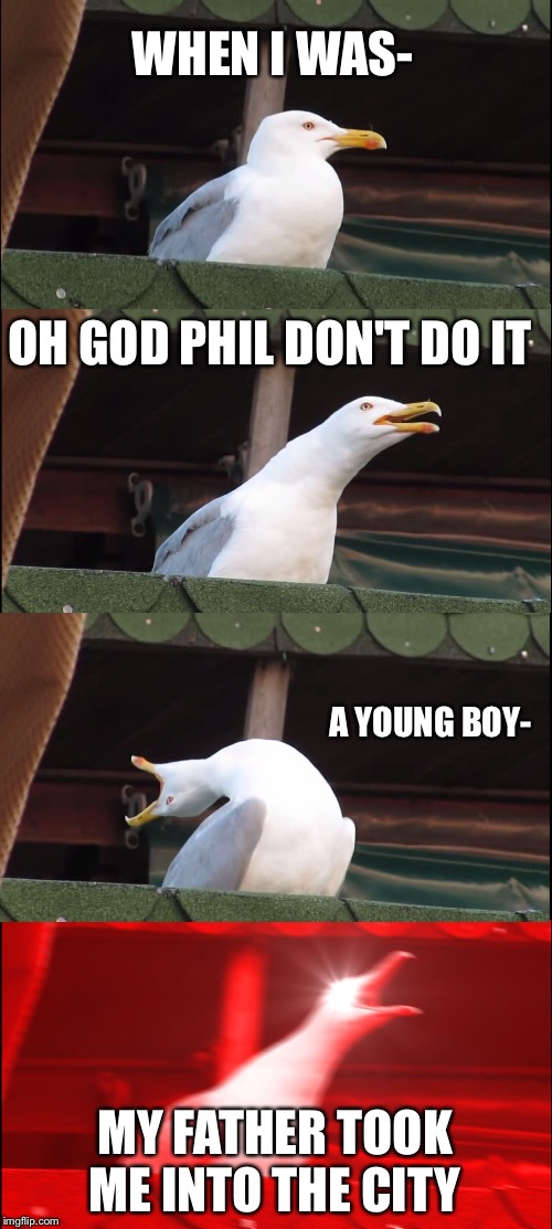 Inhaling Seagull | WHEN I WAS-; OH GOD PHIL DON'T DO IT; A YOUNG BOY-; MY FATHER TOOK ME INTO THE CITY | image tagged in memes,inhaling seagull | made w/ Imgflip meme maker