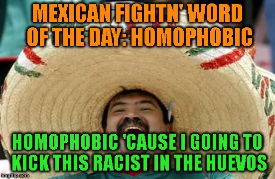 Happy Mexican | MEXICAN FIGHTN' WORD OF THE DAY: HOMOPHOBIC HOMOPHOBIC 'CAUSE I GOING TO KICK THIS RACIST IN THE HUEVOS | image tagged in happy mexican | made w/ Imgflip meme maker