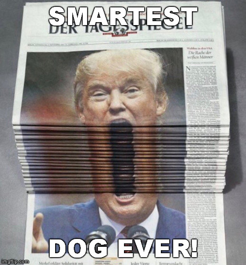Trump Newspaper | SMARTEST DOG EVER! | image tagged in trump newspaper | made w/ Imgflip meme maker
