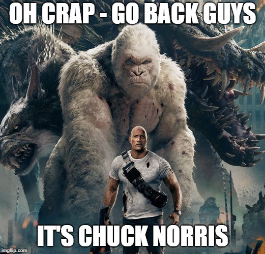 Oh Crap | OH CRAP - GO BACK GUYS; IT'S CHUCK NORRIS | image tagged in chuck norris | made w/ Imgflip meme maker