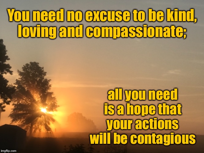 You need no excuse to be kind, loving and compassionate;; all you need is a hope that your actions will be contagious | image tagged in inspirational quote,love,kindness,compassion,hope | made w/ Imgflip meme maker