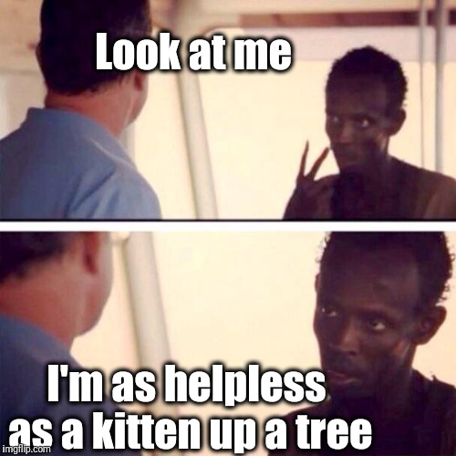 And I feel like I'm clinging to a cloud | Look at me; I'm as helpless as a kitten up a tree | image tagged in memes,captain phillips - i'm the captain now | made w/ Imgflip meme maker