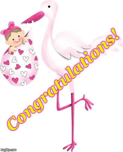 Seeing Pink | Congratulations! | image tagged in stork - pink,baby,its a girl | made w/ Imgflip meme maker