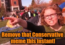 sjw | Remove that Conservative meme this instant! | image tagged in sjw | made w/ Imgflip meme maker