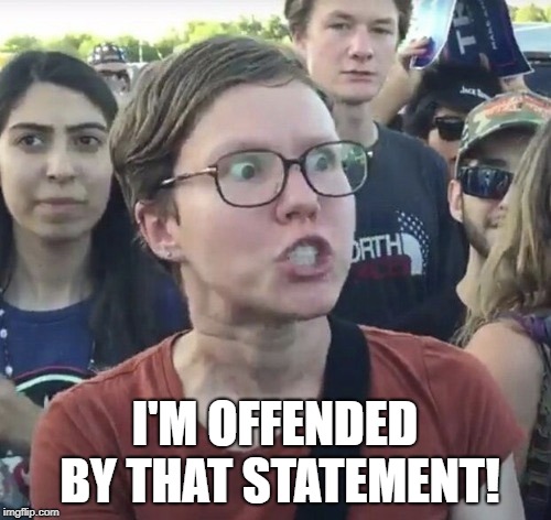 Triggered feminist | I'M OFFENDED BY THAT STATEMENT! | image tagged in triggered feminist | made w/ Imgflip meme maker