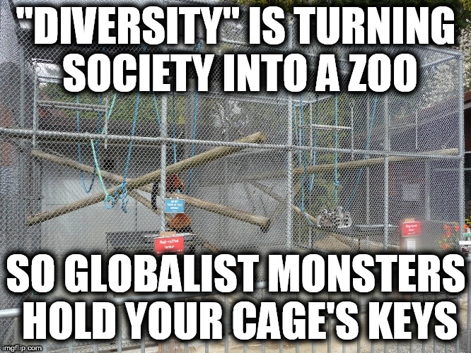 "diversity" ZOO | "DIVERSITY" IS TURNING SOCIETY INTO A ZOO; SO GLOBALIST MONSTERS HOLD YOUR CAGE'S KEYS | image tagged in zoo cages,diversity,globalists,monsters,liberal nazis,leftist scum | made w/ Imgflip meme maker