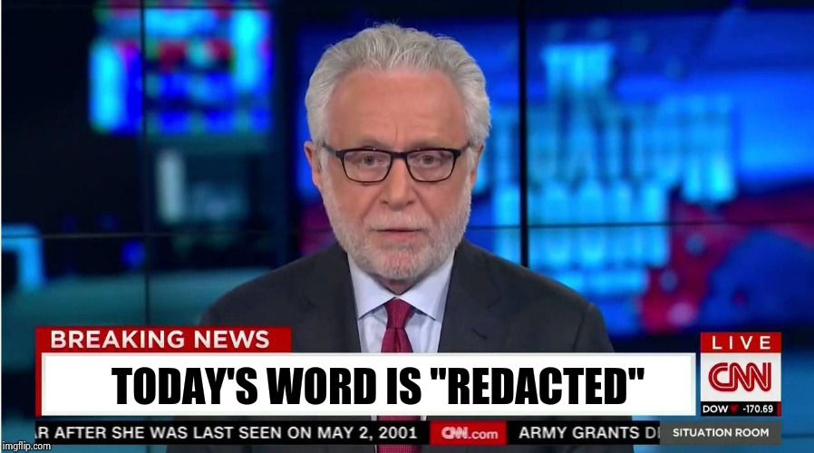 CNN "Wolf of Fake News" Fanfiction | TODAY'S WORD IS "REDACTED" | image tagged in cnn wolf of fake news fanfiction | made w/ Imgflip meme maker