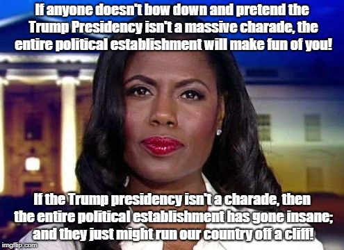 White House Is Reality Show | If anyone doesn't bow down and pretend the Trump Presidency isn't a massive charade, the entire political establishment will make fun of you! If the Trump presidency isn't a charade, then the entire political establishment has gone insane; and they just might run our country off a cliff! | image tagged in omarosa breaking news,donald trump,conspiracy theory,politics,reality tv | made w/ Imgflip meme maker