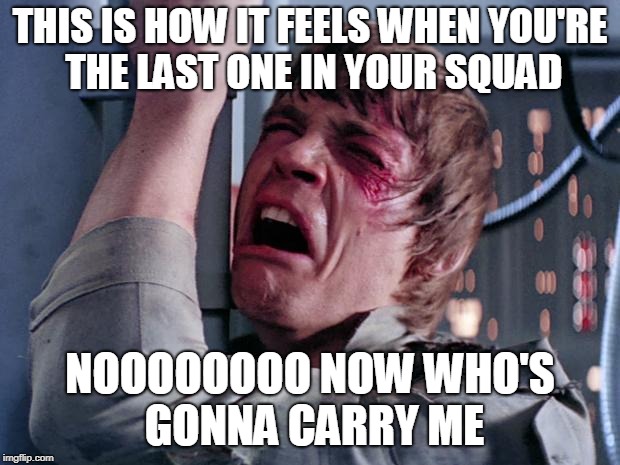 luke nooooo | THIS IS HOW IT FEELS WHEN YOU'RE THE LAST ONE IN YOUR SQUAD; NOOOOOOOO NOW WHO'S GONNA CARRY ME | image tagged in luke nooooo | made w/ Imgflip meme maker
