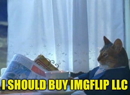 I Should Buy a Boat Cat | I SHOULD BUY IMGFLIP LLC | image tagged in i should buy a boat cat | made w/ Imgflip meme maker