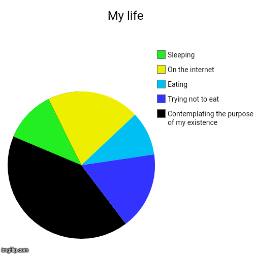 How I Spend My Life | My life | Contemplating the purpose of my existence, Trying not to eat, Eating, On the internet, Sleeping | image tagged in funny,pie charts | made w/ Imgflip chart maker