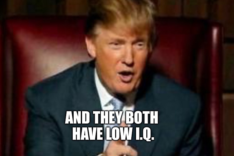AND THEY BOTH HAVE LOW I.Q. | made w/ Imgflip meme maker