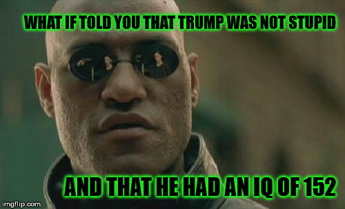 Matrix Morpheus | WHAT IF TOLD YOU THAT TRUMP WAS NOT STUPID; AND THAT HE HAD AN IQ OF 152 | image tagged in memes,matrix morpheus | made w/ Imgflip meme maker