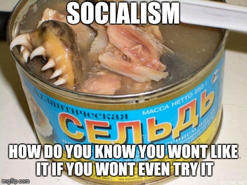 JUST TRY IT | SOCIALISM; HOW DO YOU KNOW YOU WONT LIKE IT IF YOU WONT EVEN TRY IT | image tagged in gross | made w/ Imgflip meme maker