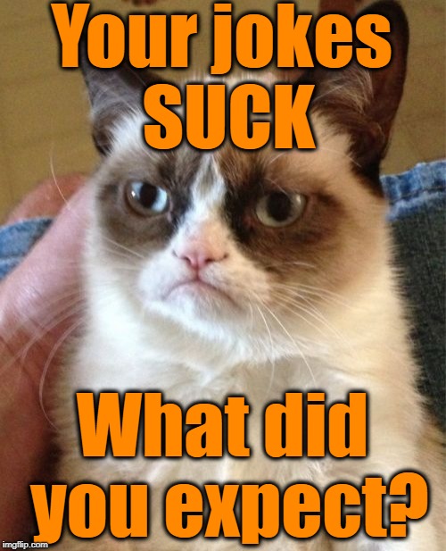 Grumpy Cat Meme | Your jokes SUCK What did you expect? | image tagged in memes,grumpy cat | made w/ Imgflip meme maker