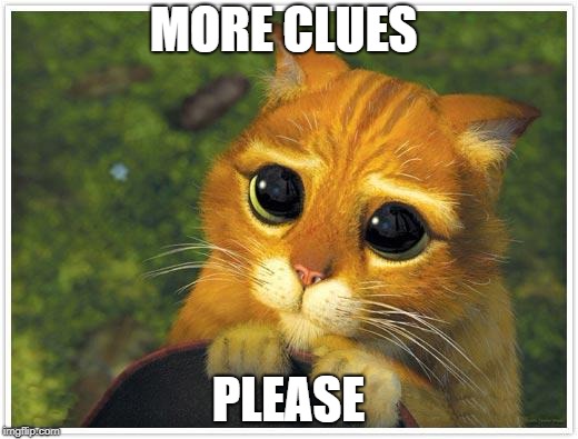 Shrek Cat | MORE CLUES; PLEASE | image tagged in memes,shrek cat | made w/ Imgflip meme maker