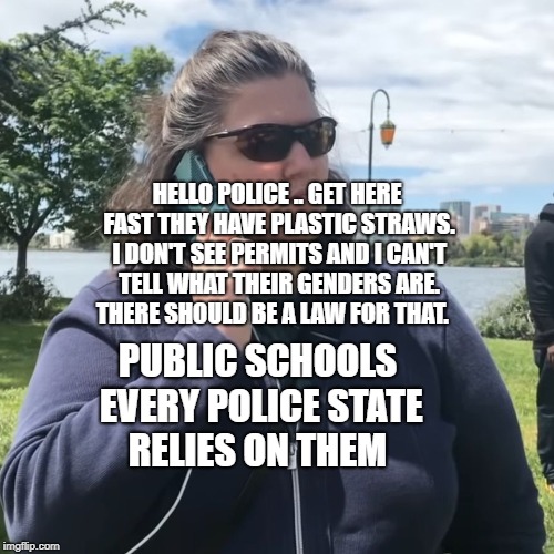 White Woman Calling Cops | HELLO POLICE .. GET HERE FAST THEY HAVE PLASTIC STRAWS. I DON'T SEE PERMITS AND I CAN'T TELL WHAT THEIR GENDERS ARE. THERE SHOULD BE A LAW FOR THAT. PUBLIC SCHOOLS EVERY POLICE STATE RELIES ON THEM | image tagged in white woman calling cops | made w/ Imgflip meme maker